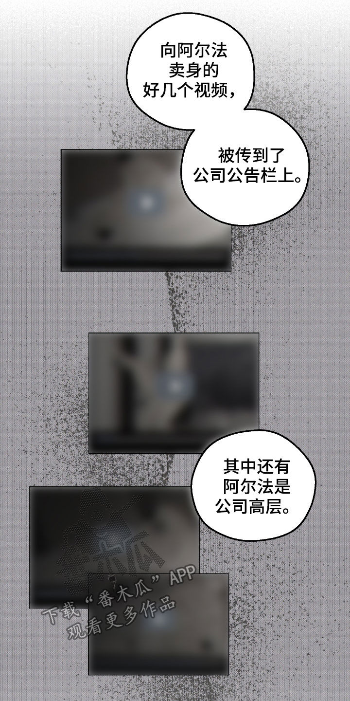 第38章：不是传闻9