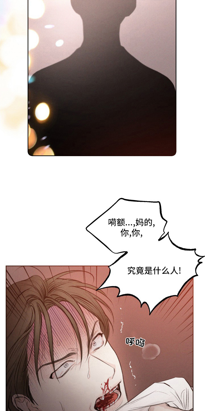 第33章：疯子19