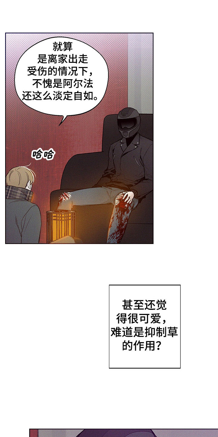 第2章：你的苦恼11