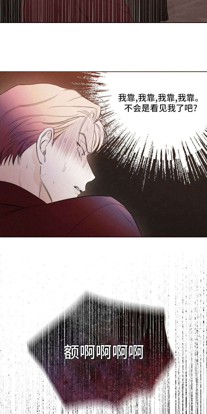 第33章：疯子13