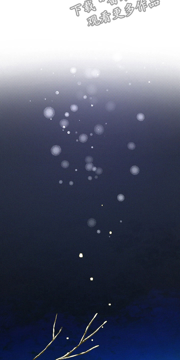 第5章：王国16