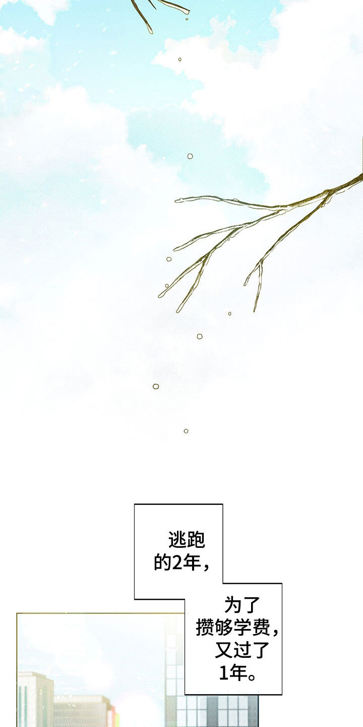 第5章：王国18