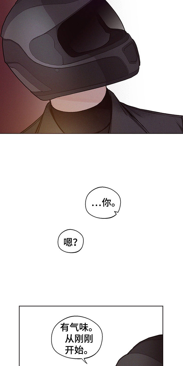 第3章：难寻的运气15