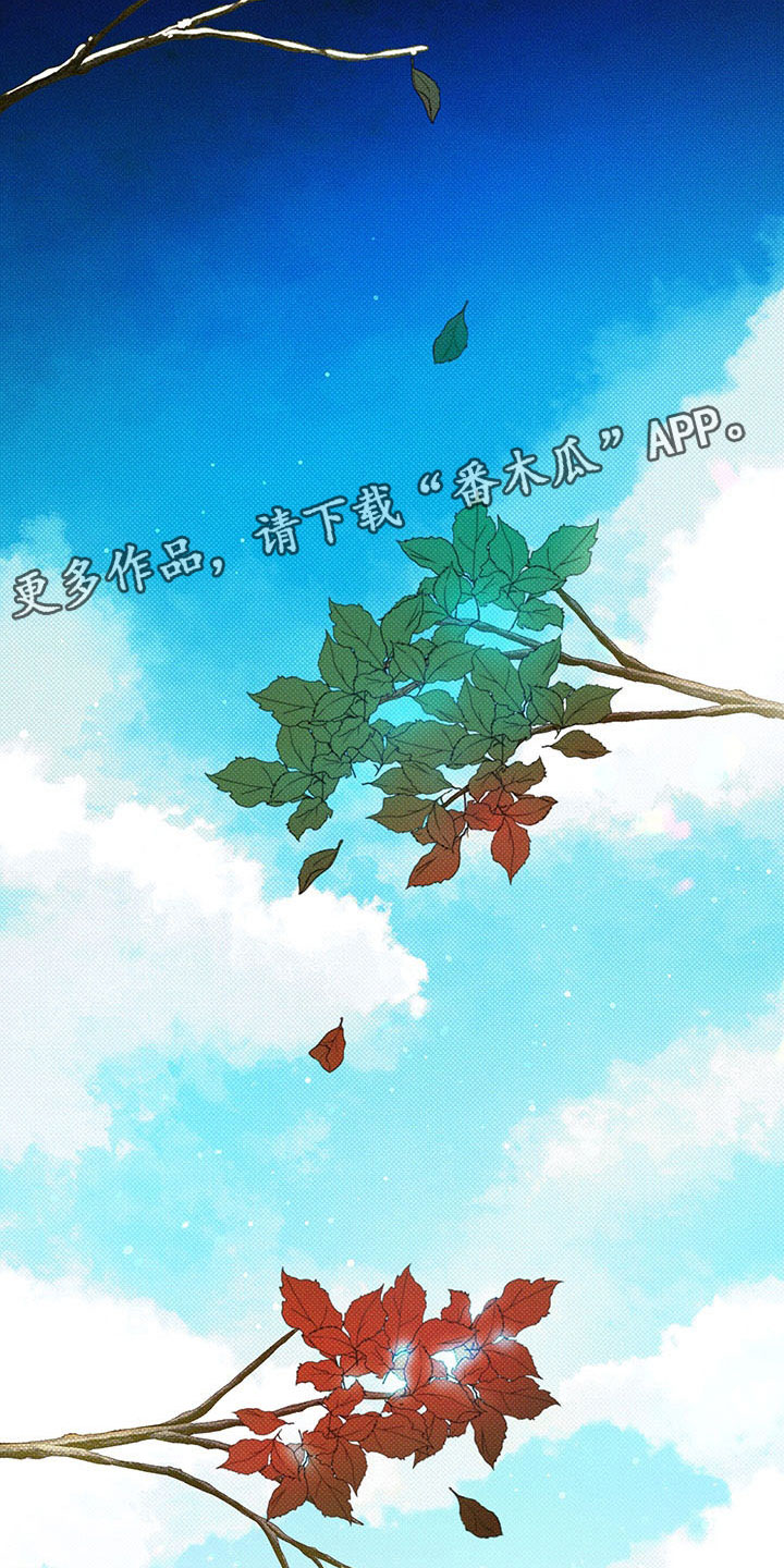 第5章：王国17