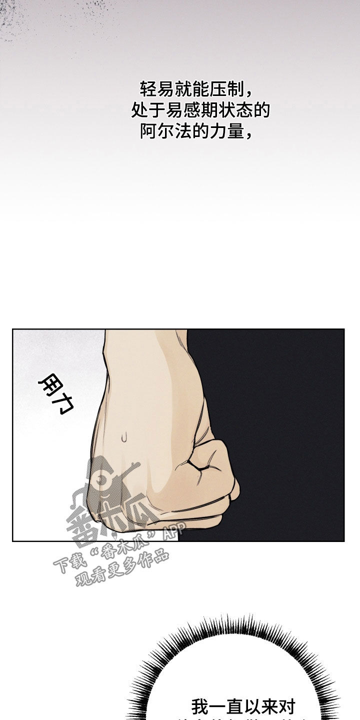 第66章：【第二季】超然地位19