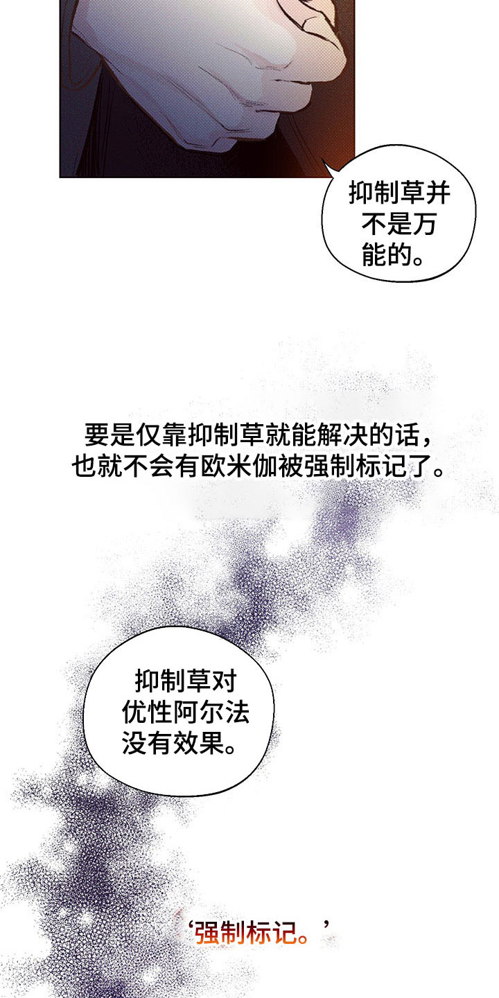 第3章：难寻的运气8