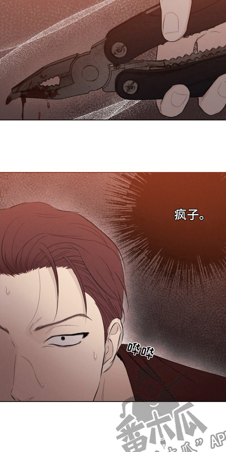 第33章：疯子17