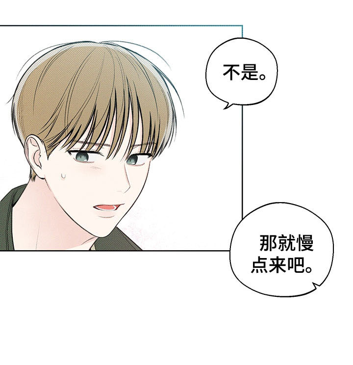 第13章：了解12