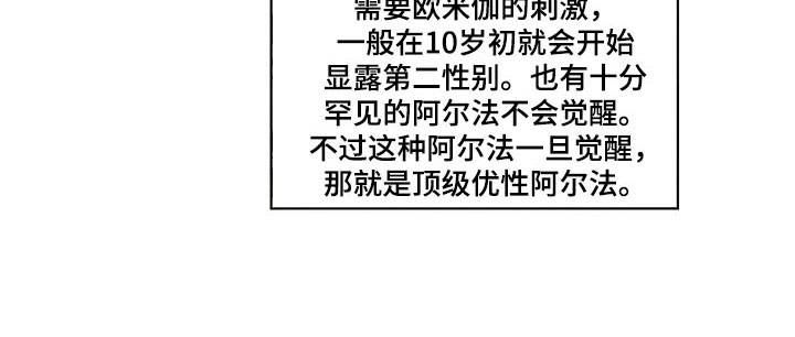 第5章：王国13