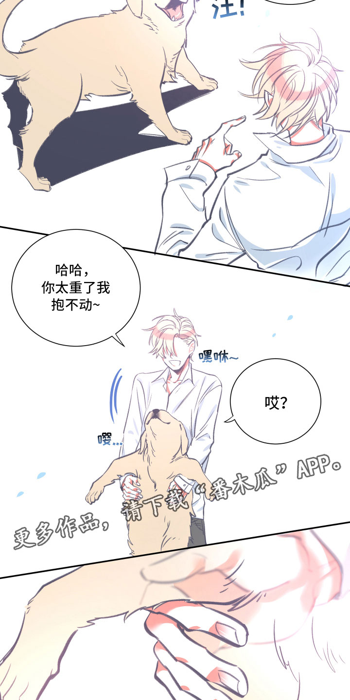 第26章：体检1