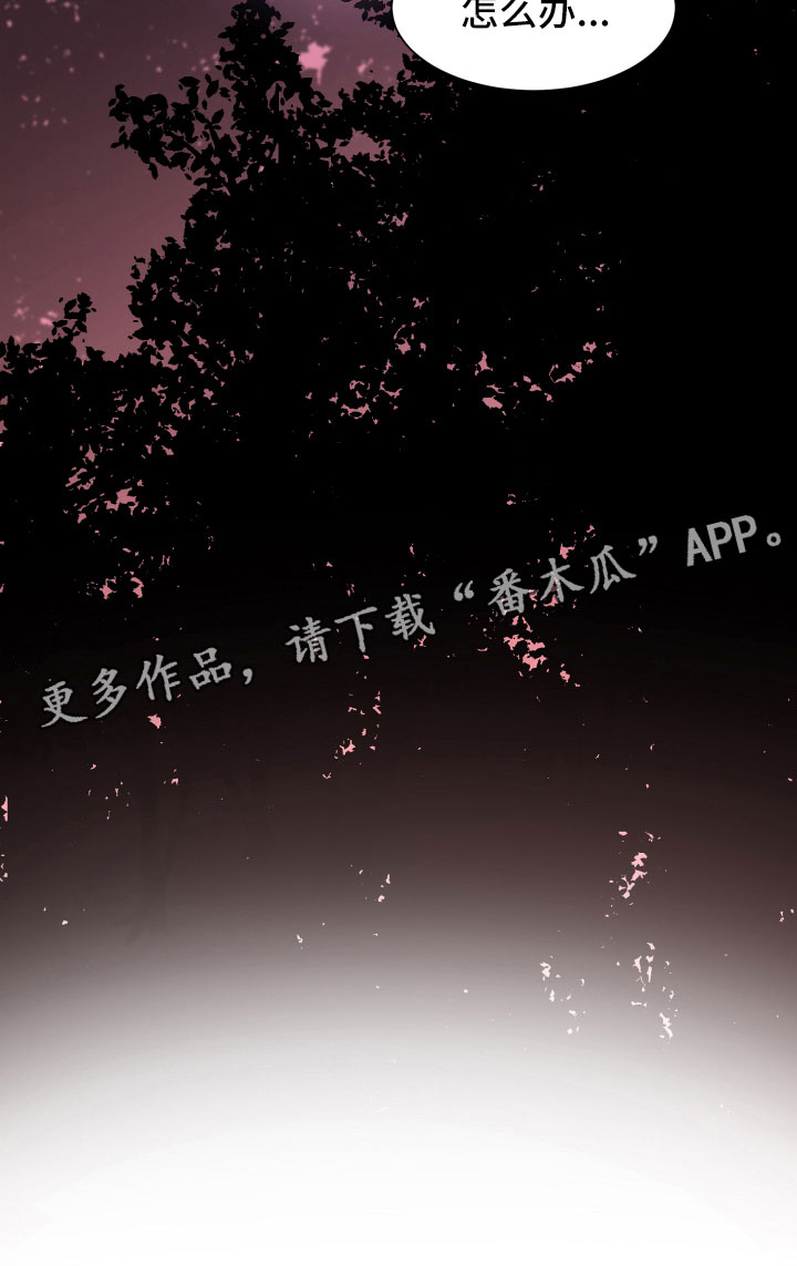 第14章：远行17