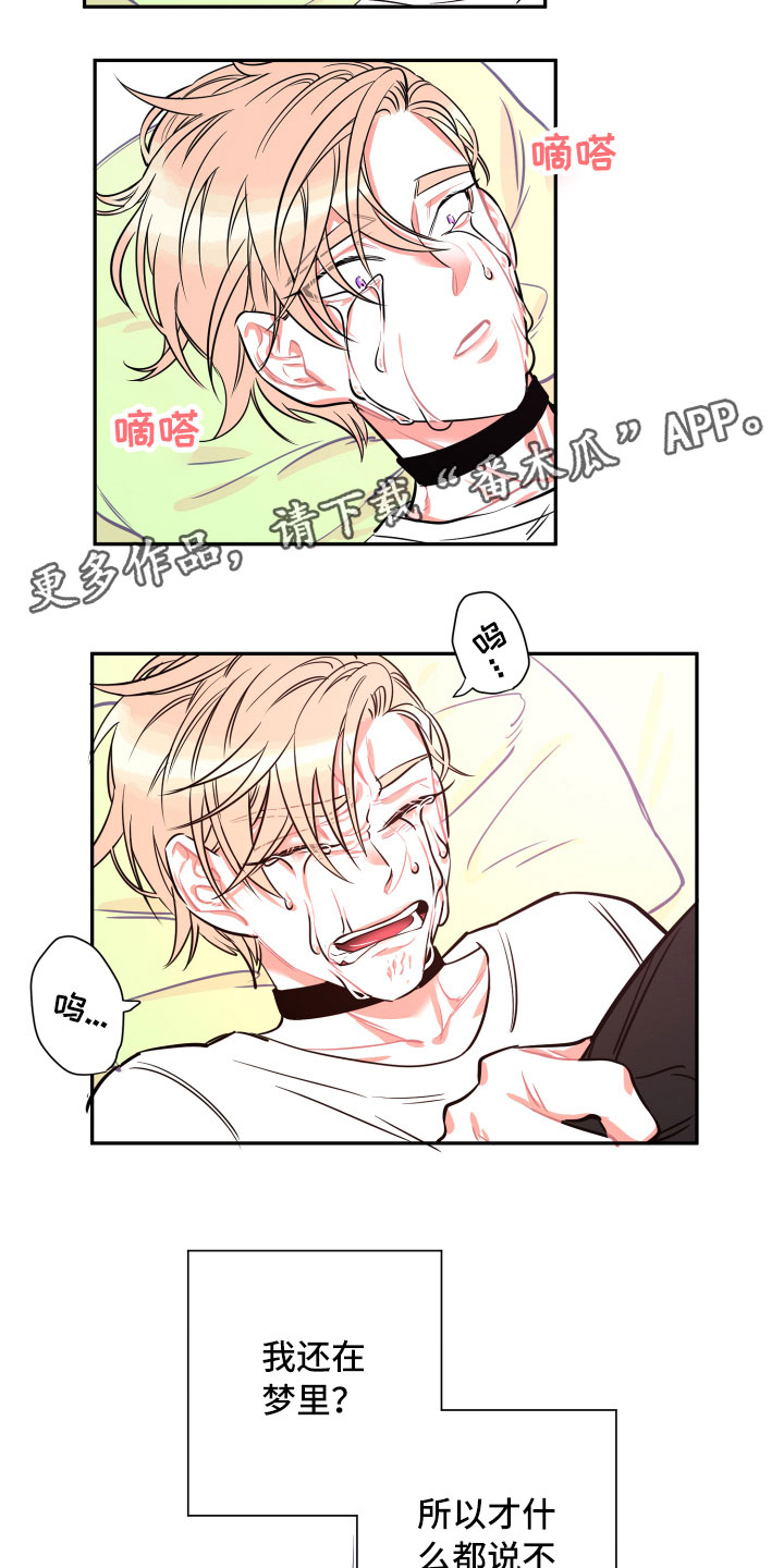 第26章：体检6
