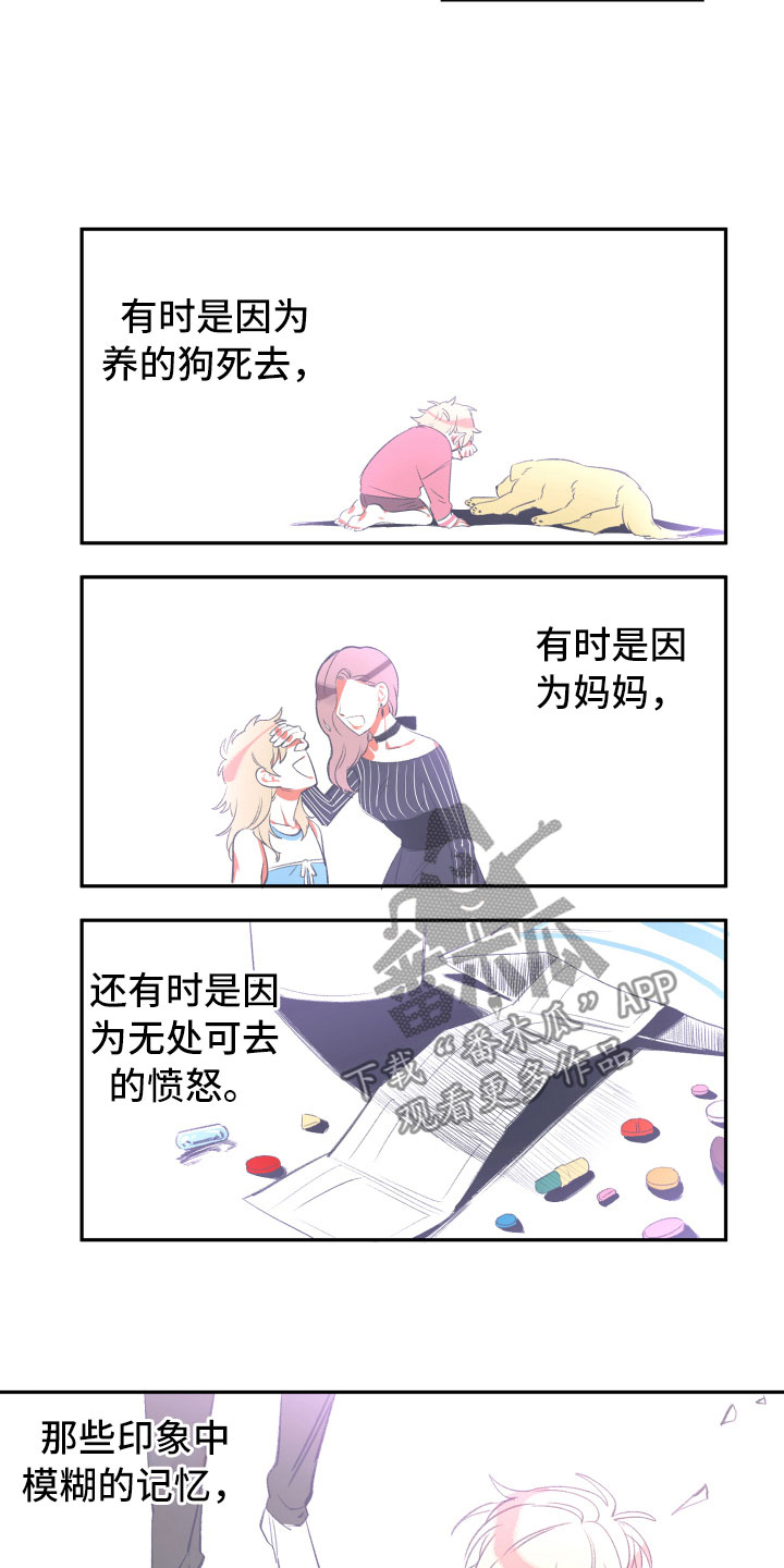 第17章：真实5