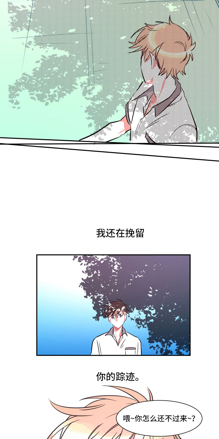 第20章：未来15