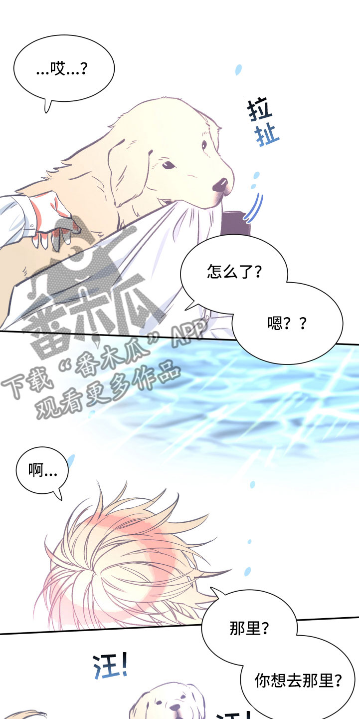 第26章：体检0