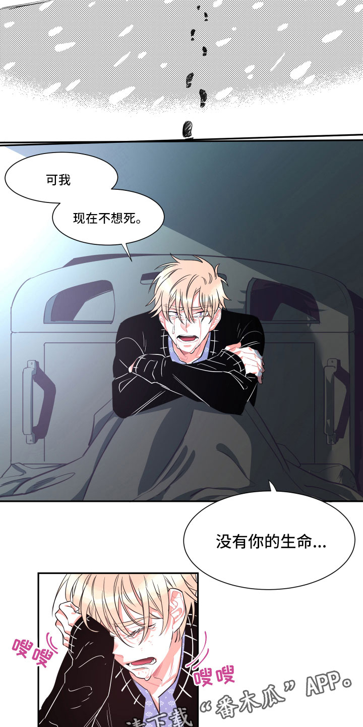 第33章：真心6