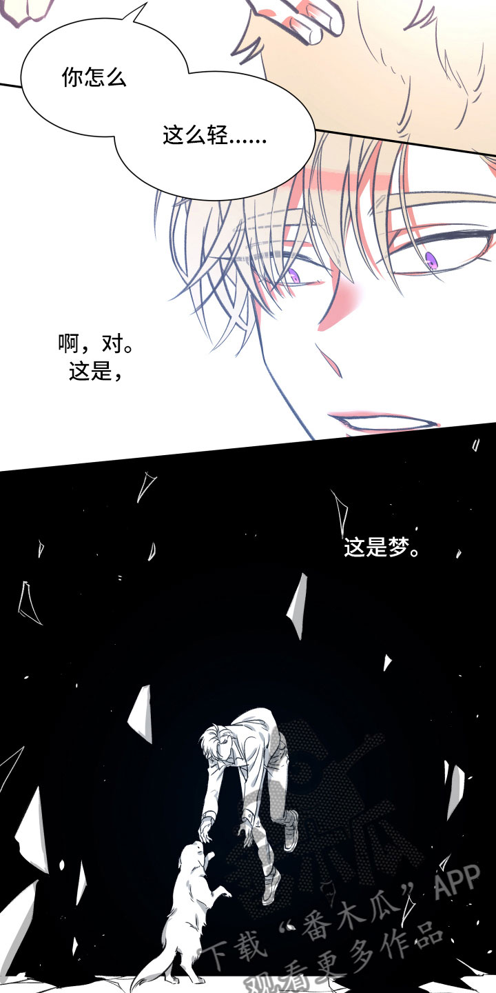 第26章：体检2