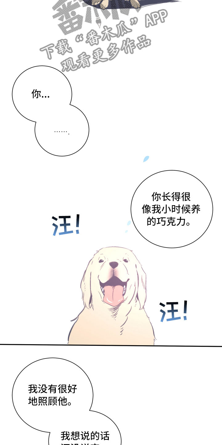 第25章：重逢16