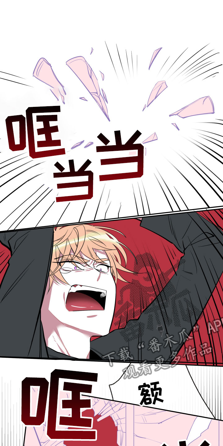 第17章：真实0