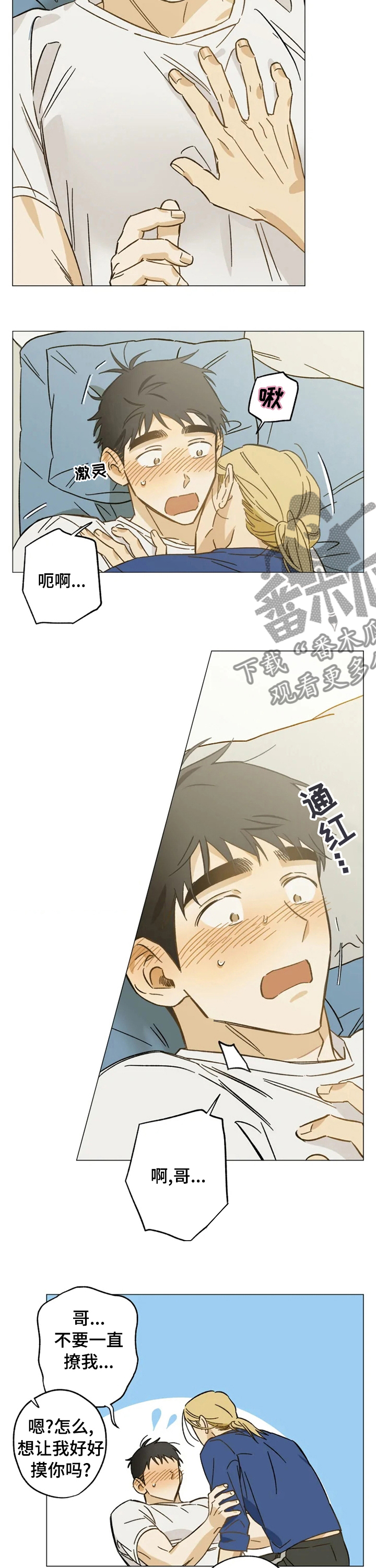 第66章：安慰6