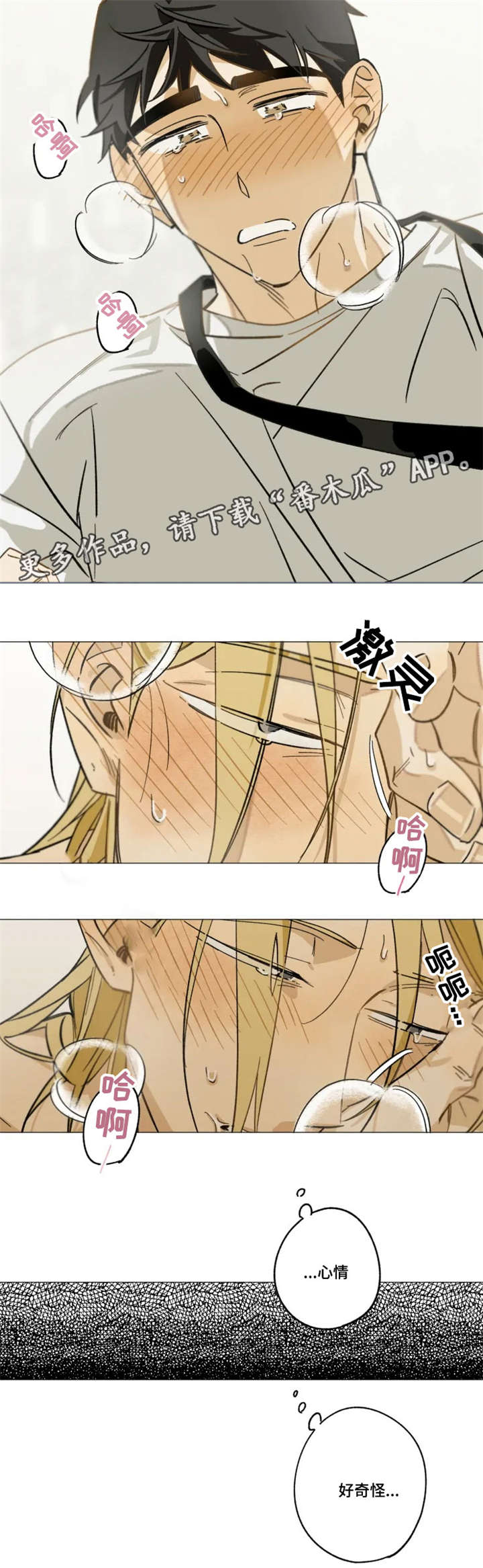 第10章：撩3