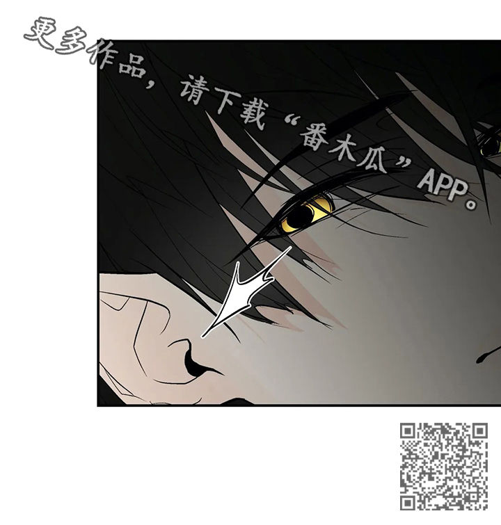 第50章：我的就是你的15