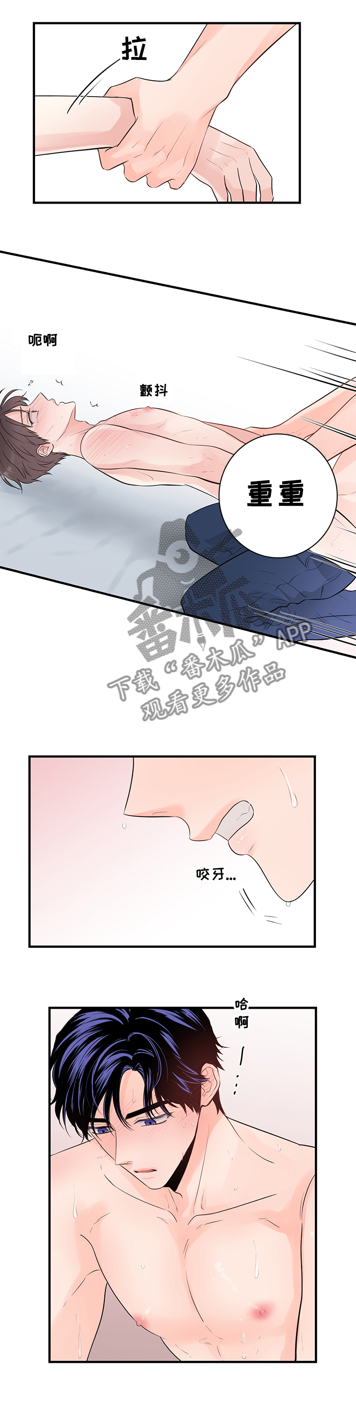 第79章：我喜欢你5