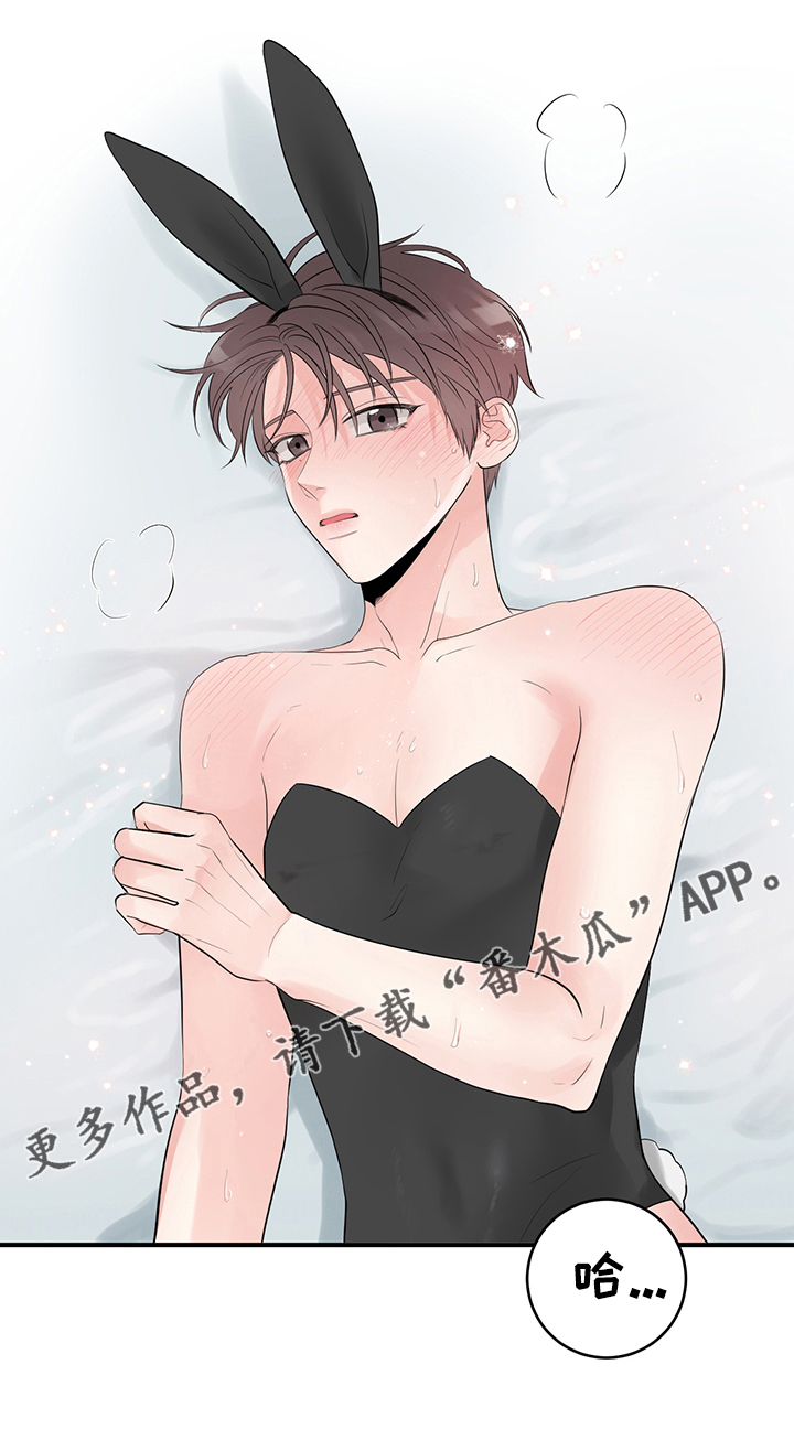第78章：兔子的诱惑5