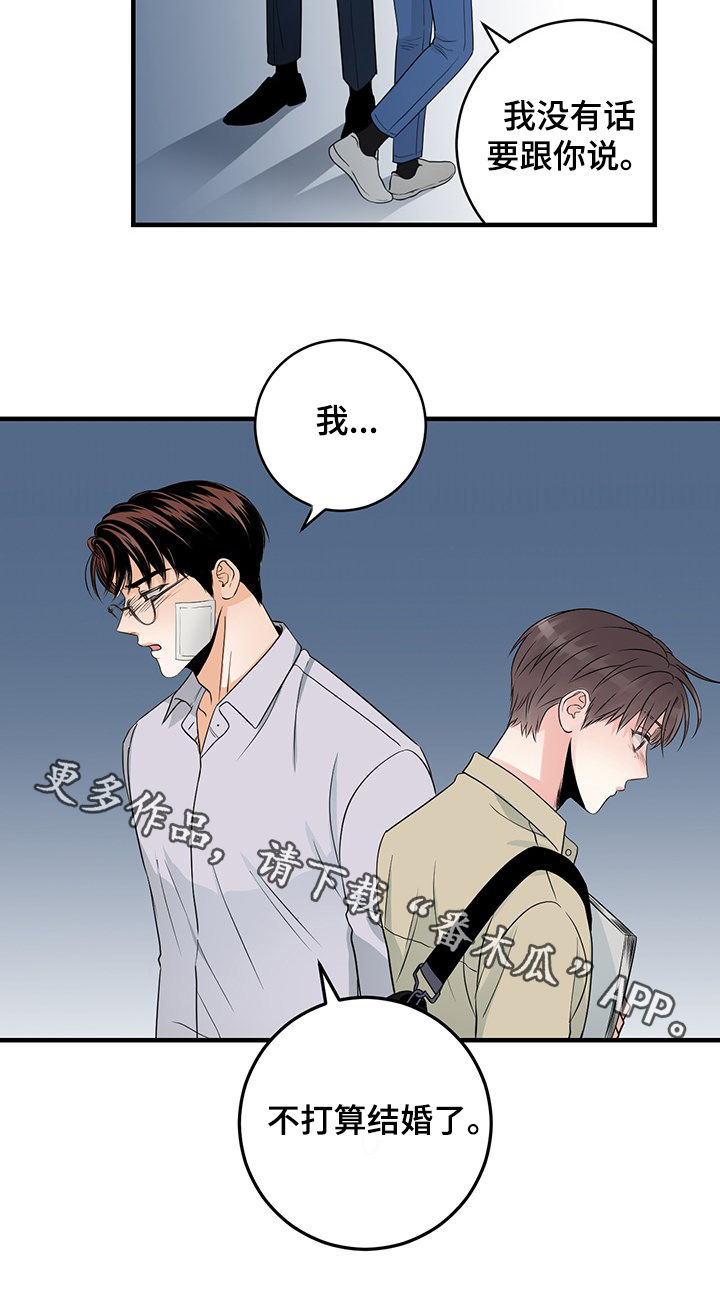 第62章：不打算结婚了11
