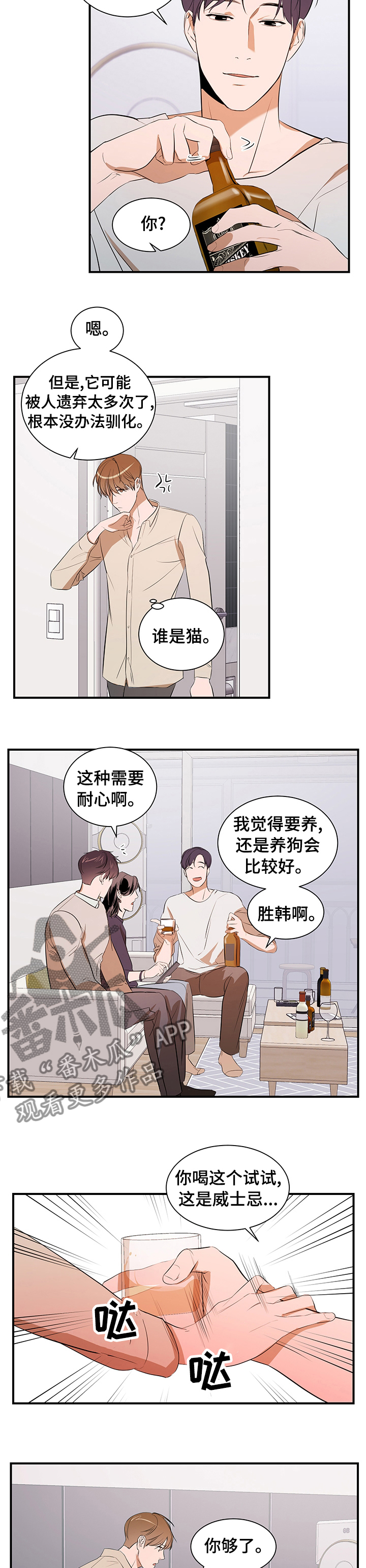 第63章：一只猫3