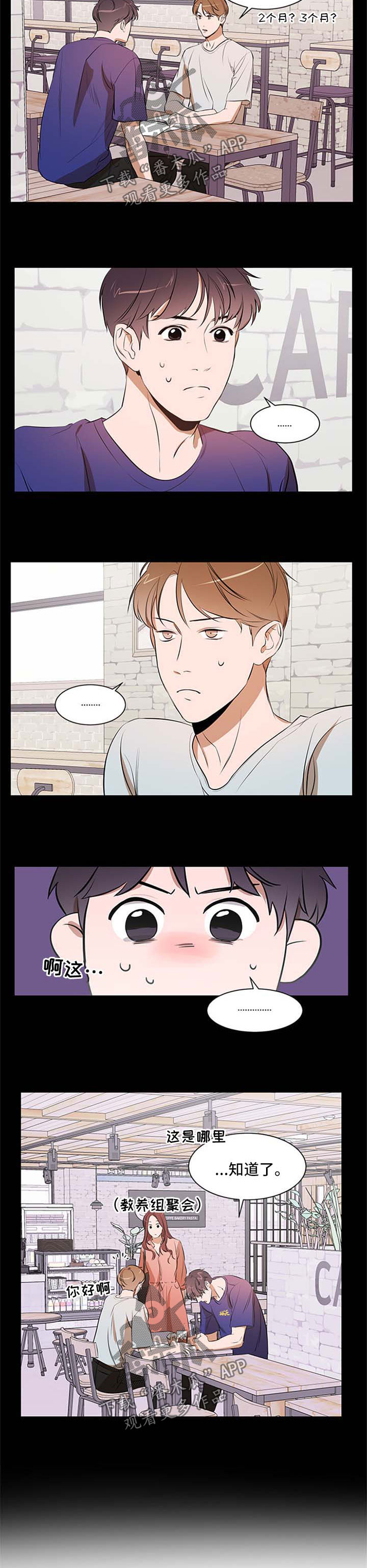 第44章：条件3