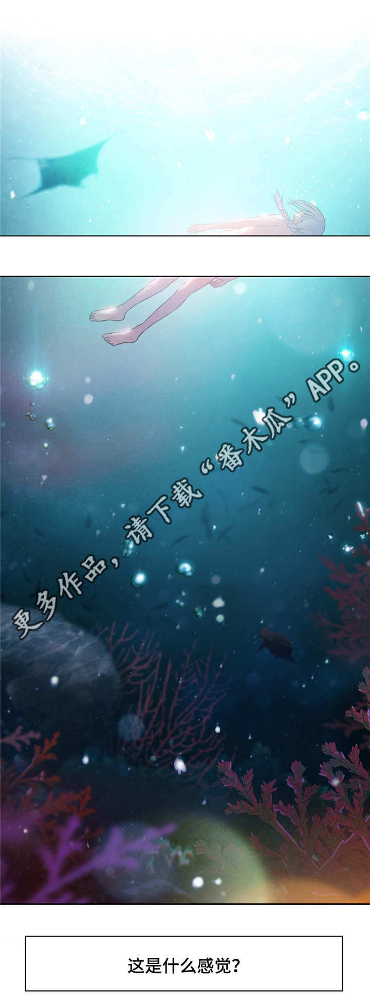 第24章：赔偿5