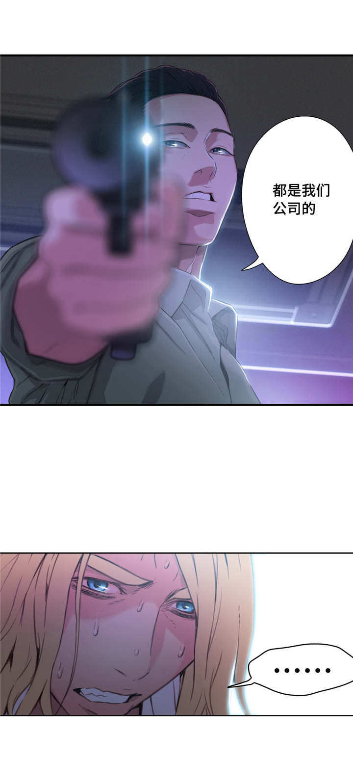 第41章：公司项目9
