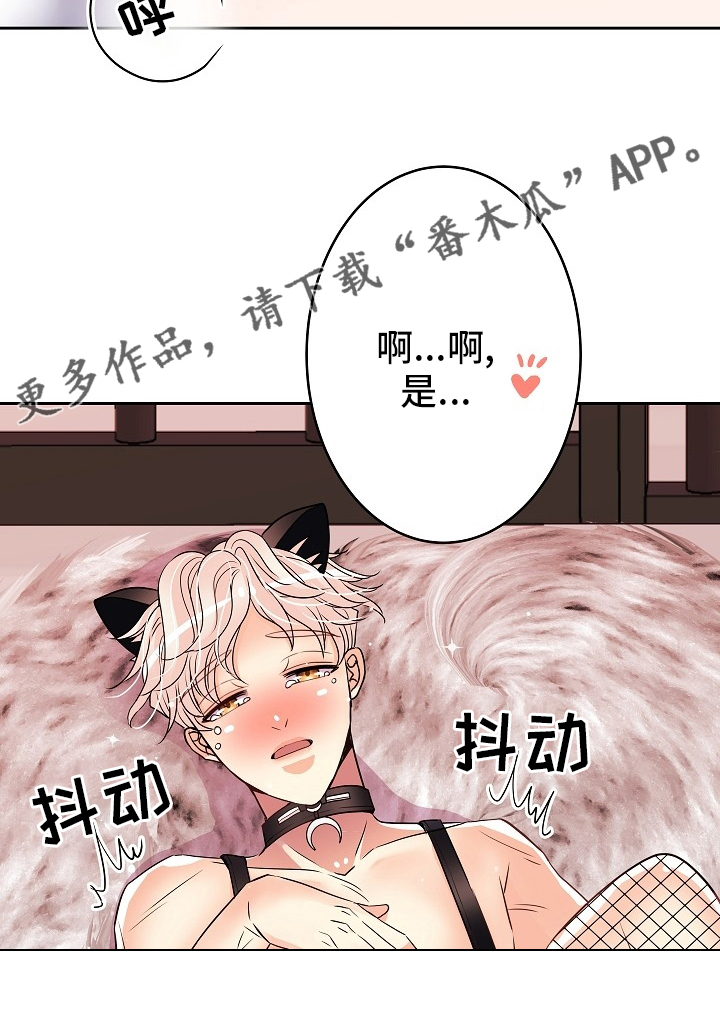 第73章：撒娇19