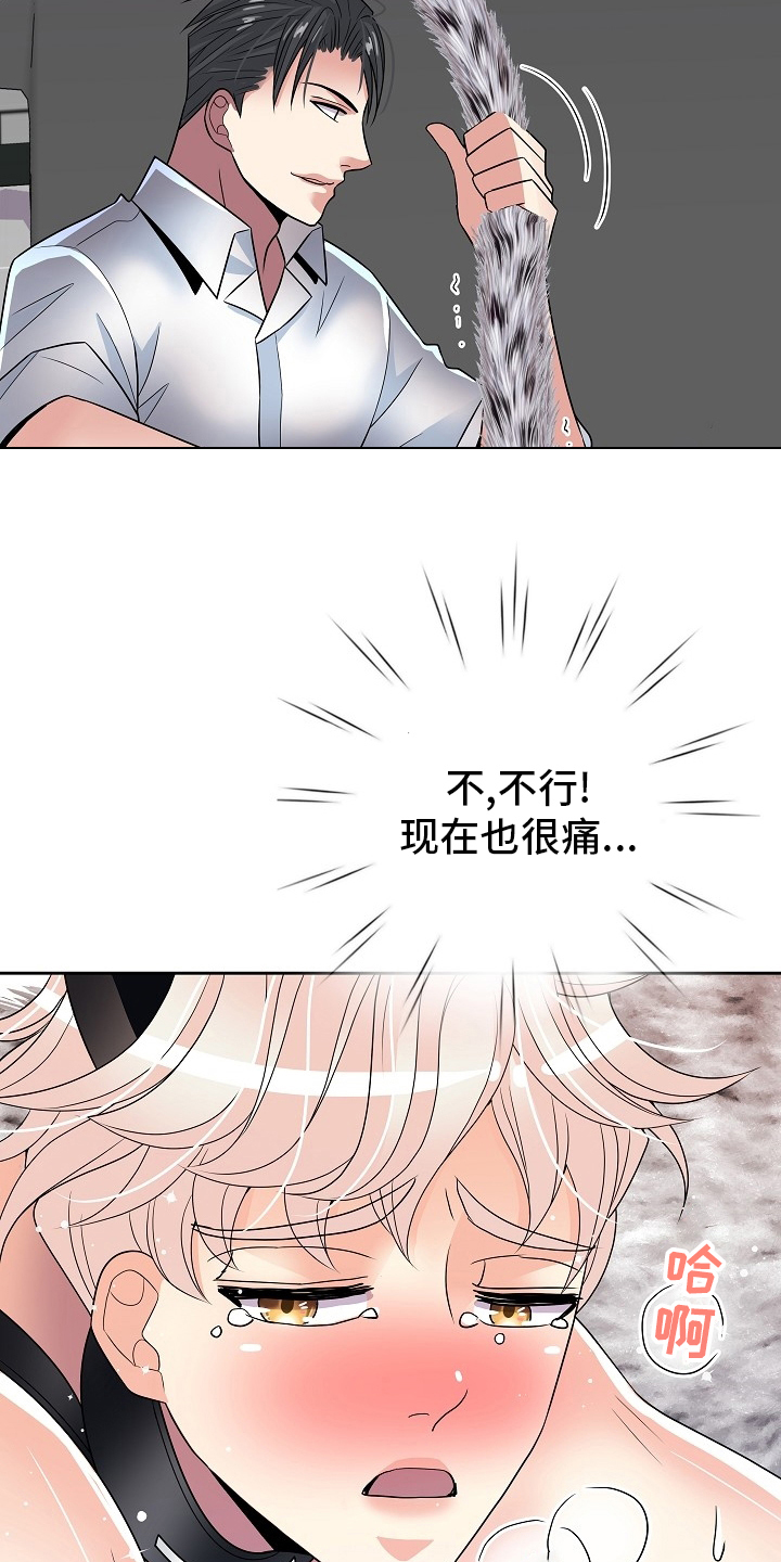 第73章：撒娇6