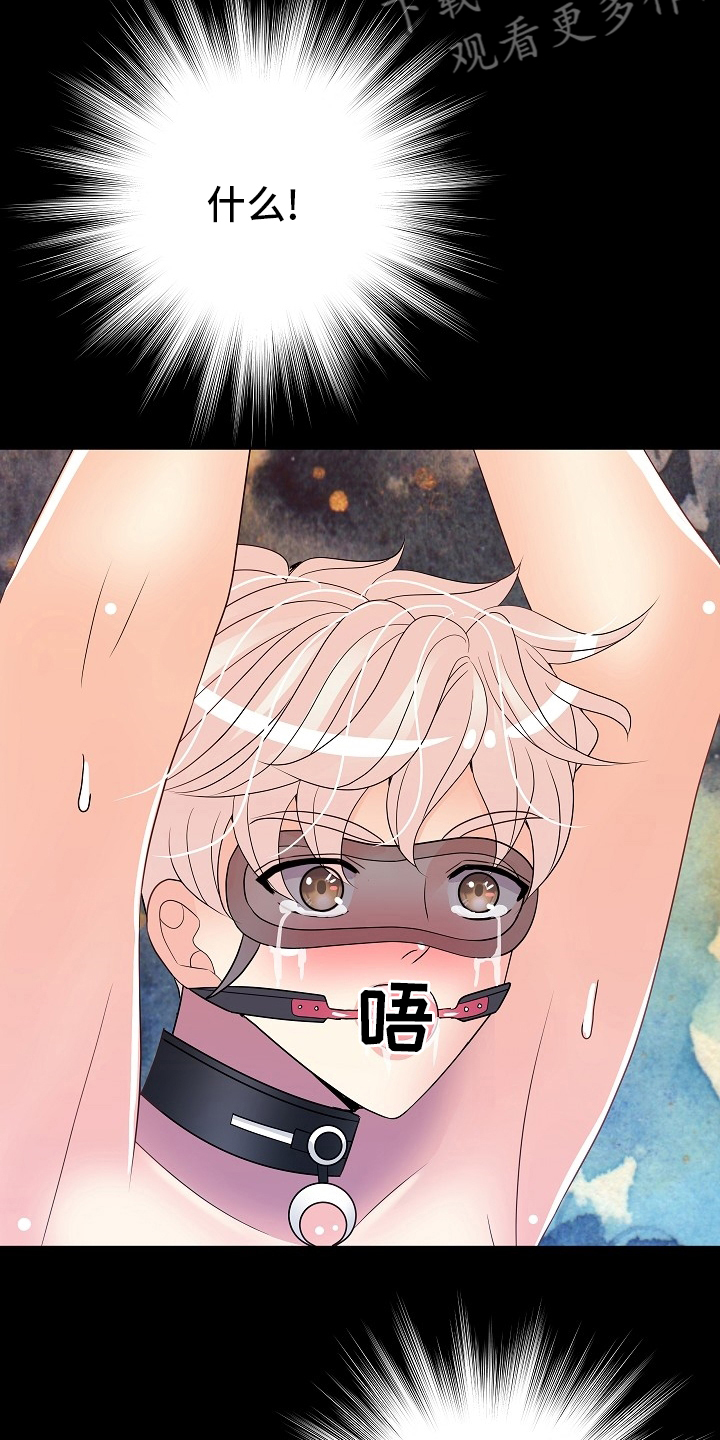 第81章：别担心9