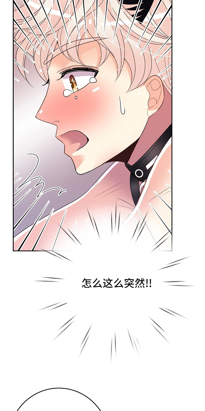 第73章：撒娇11