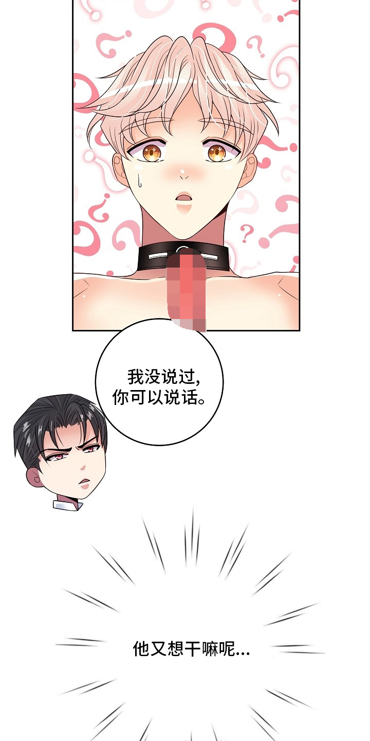 第76章：又想干嘛18