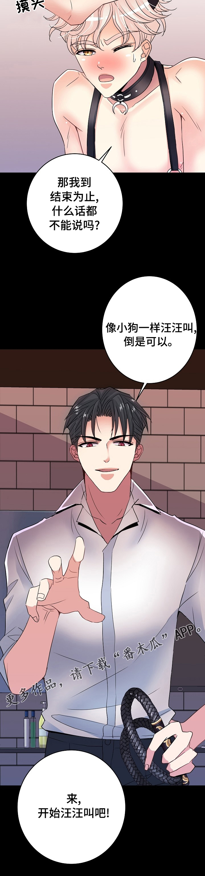第71章：小狗9
