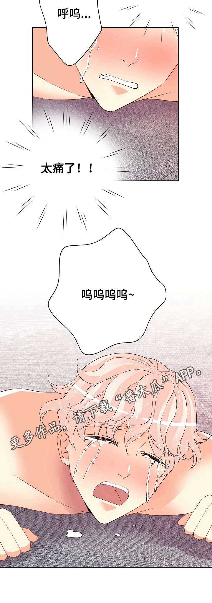 第13章：痛哭10