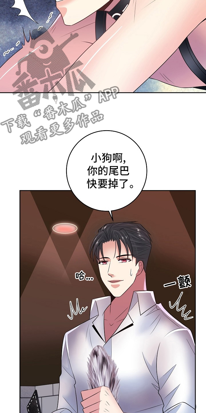 第73章：撒娇2