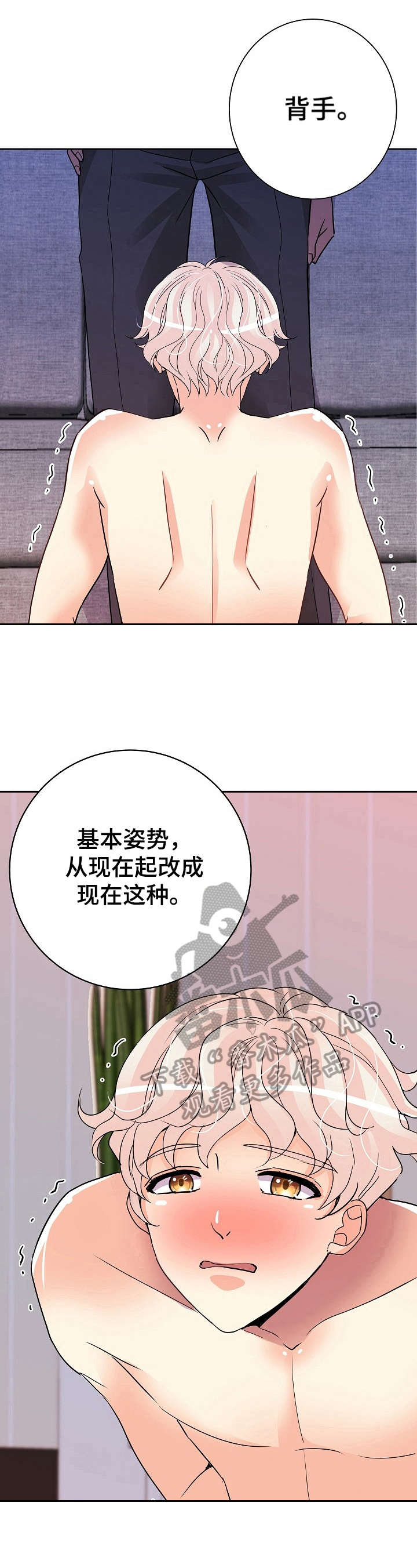 第12章：命令5