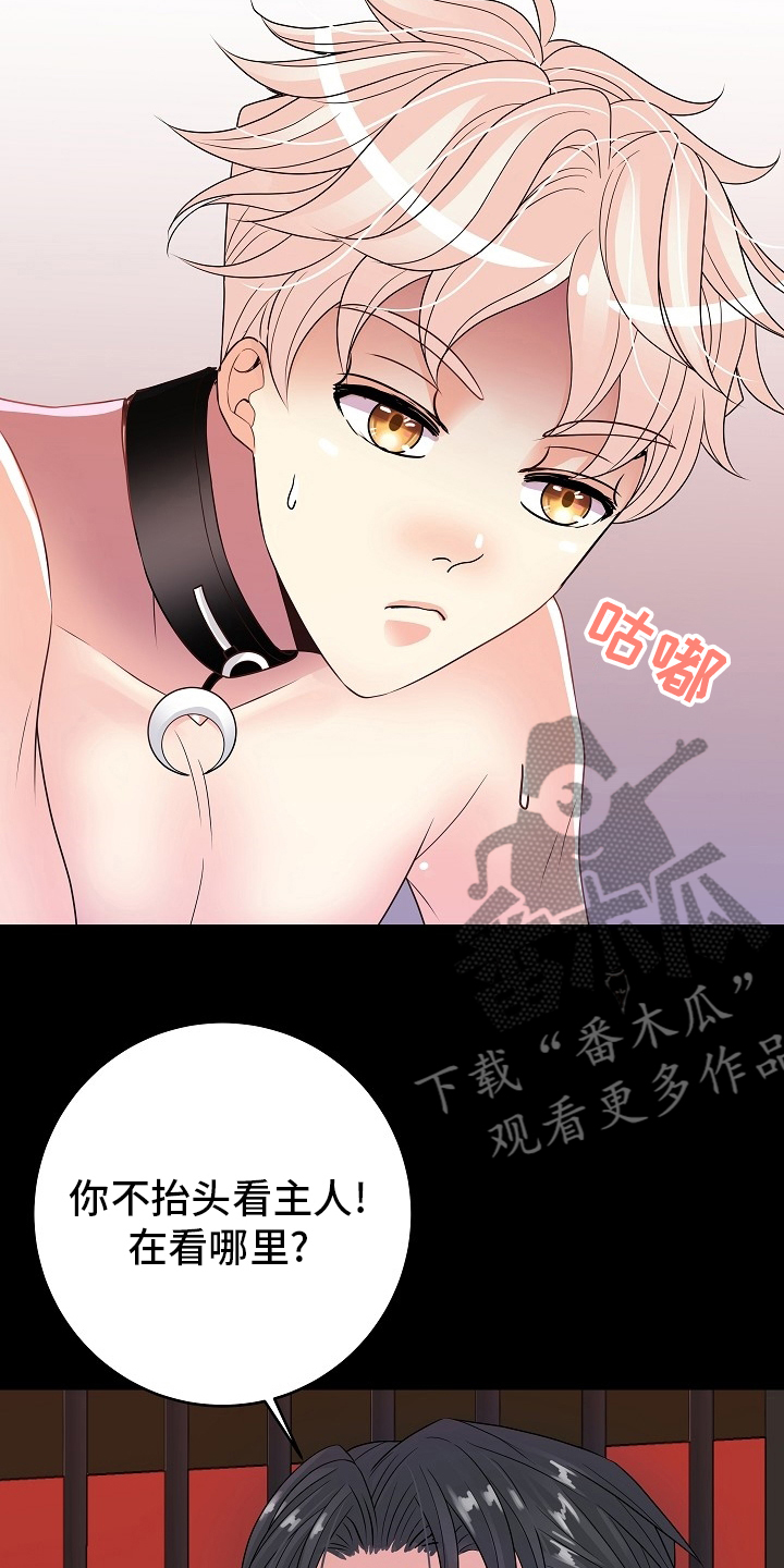 第80章：判若两人12