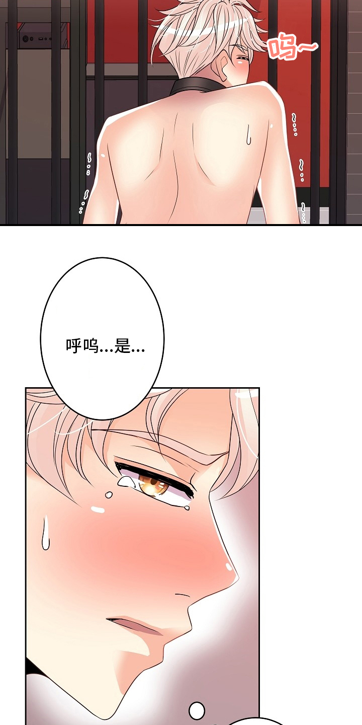 第77章：骗人14