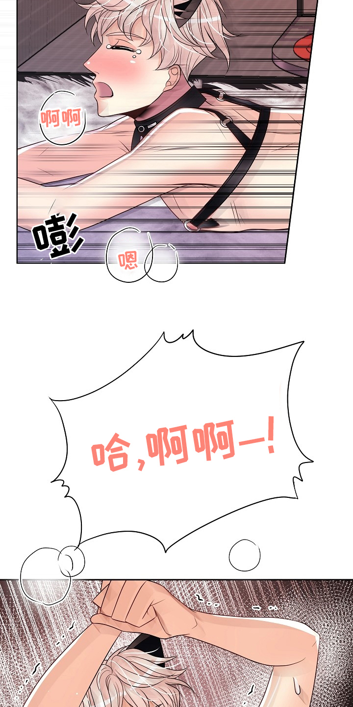 第73章：撒娇16