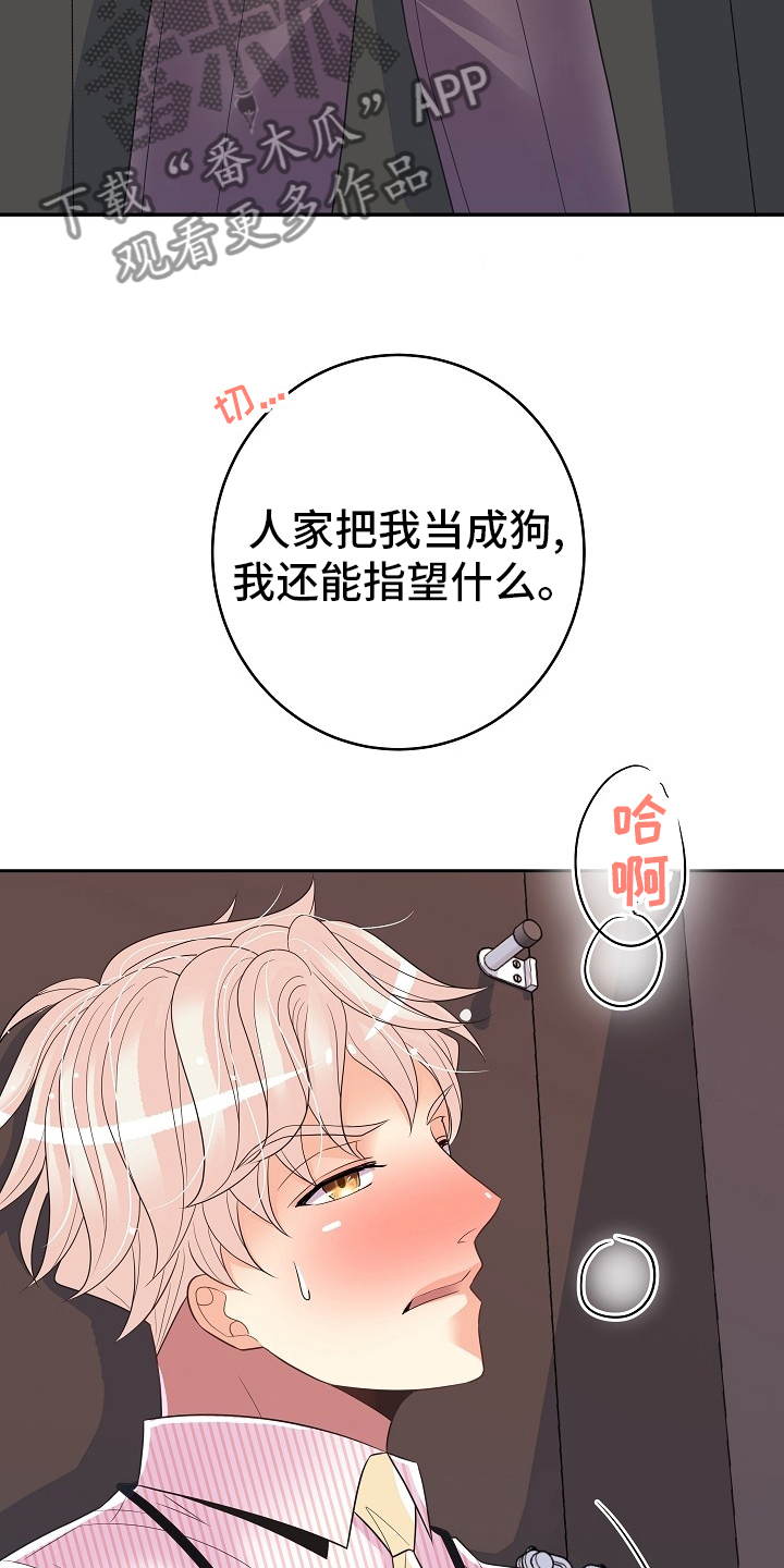 第75章：回去工作21