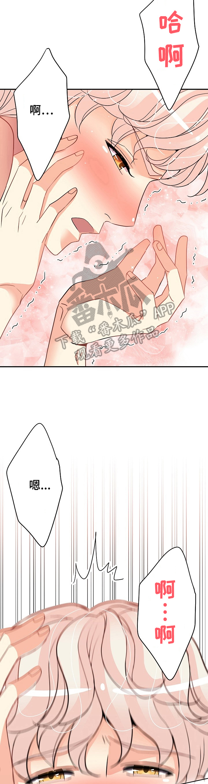 第17章：说实话10