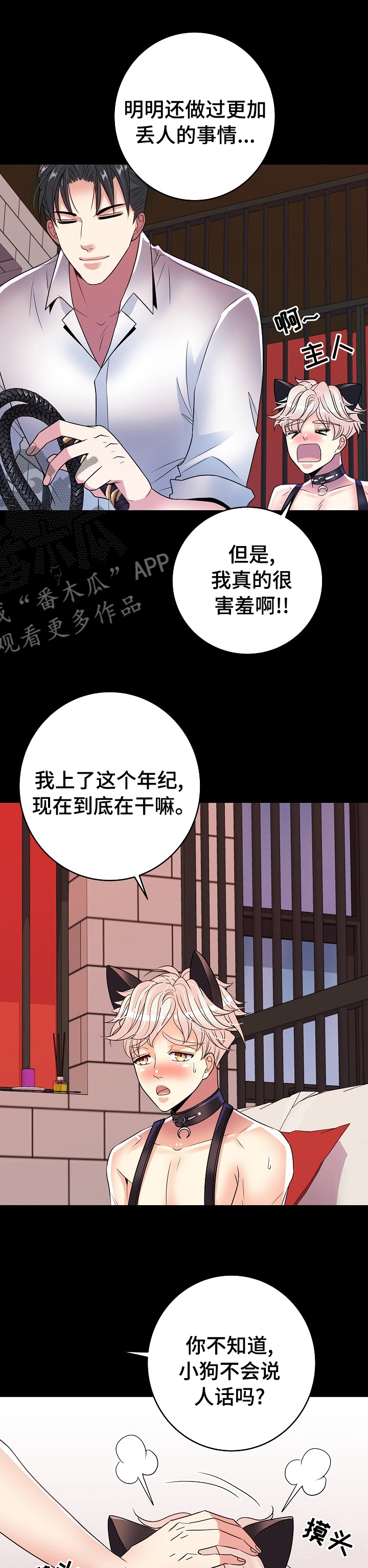 第71章：小狗8