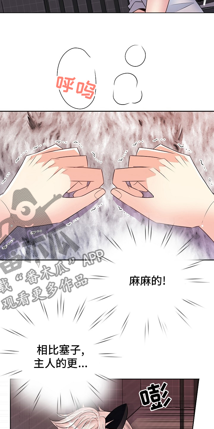 第73章：撒娇15