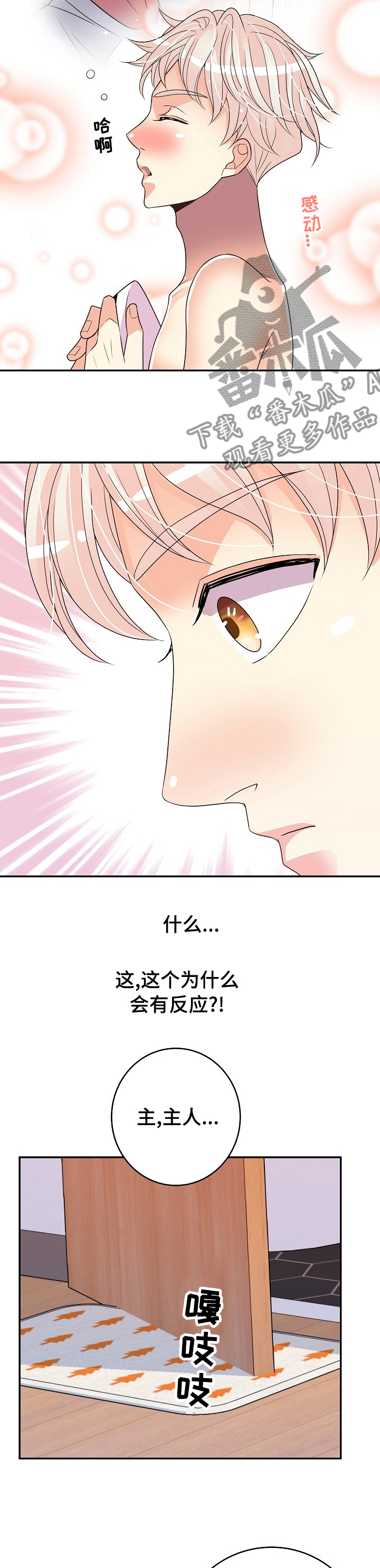 第69章：奖励2